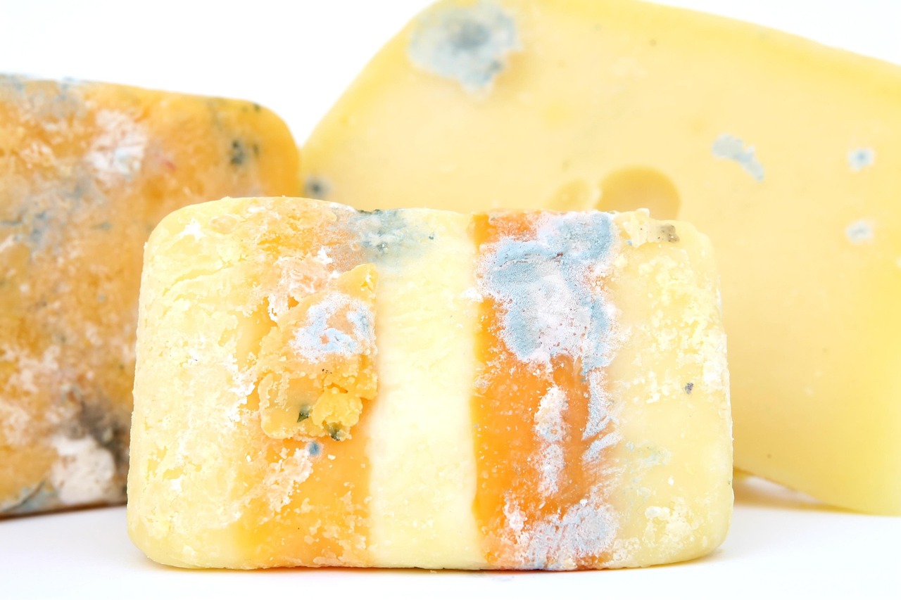 Eavesdropping on Your Gut: How Signal Processing Unlocks the Microbiome's Health Secrets