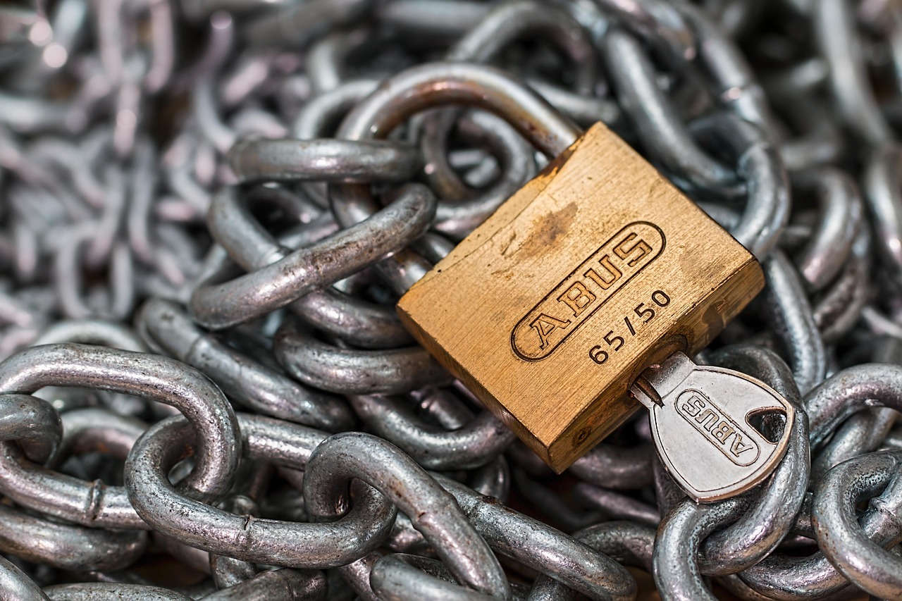 The Enclave Effect: AI's New Privacy Superpower